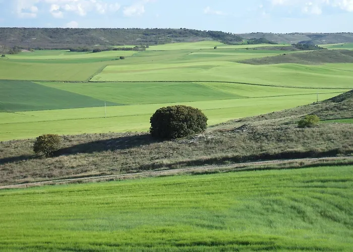 Catalina De Austria Maison d'hôtes