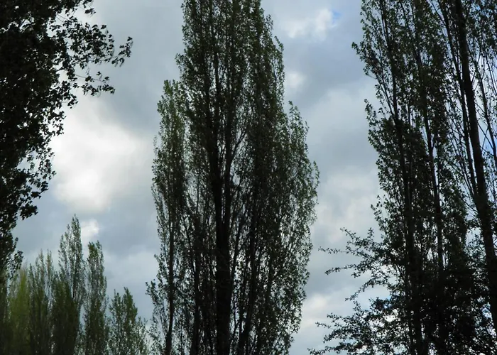 Maison d'hôtes Catalina De Austria 2*